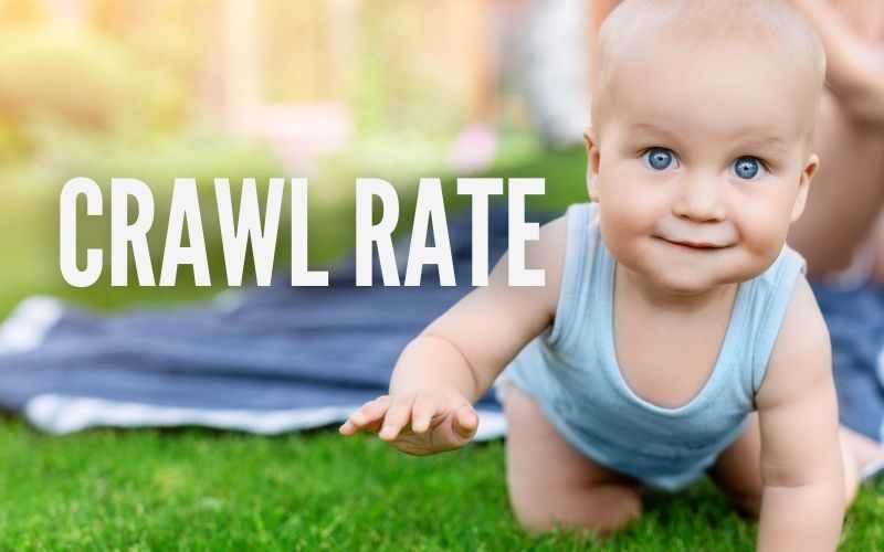 web krefeld glossar crawl rate